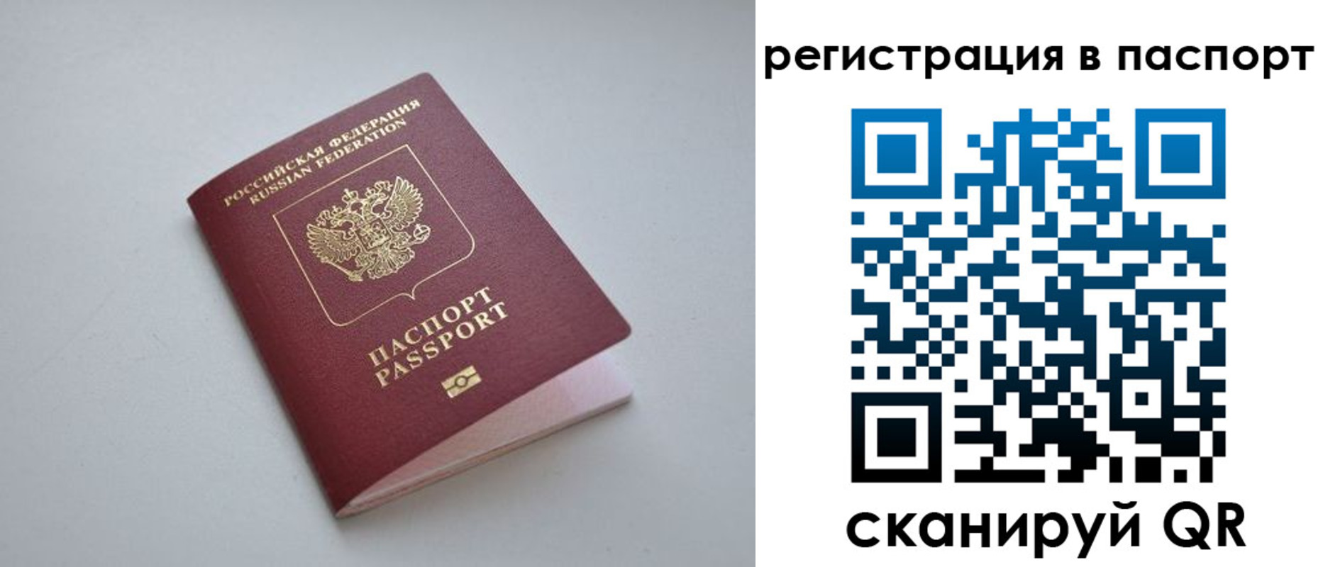 найти адрес прописки в Камчатской области
